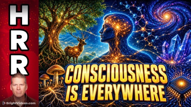 Consciousness is Universal, Distributed and Permeates Both Living and Non-Living Systems