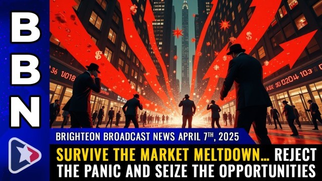 Survive the MARKET MELTDOWN… reject the panic and seize the opportunities