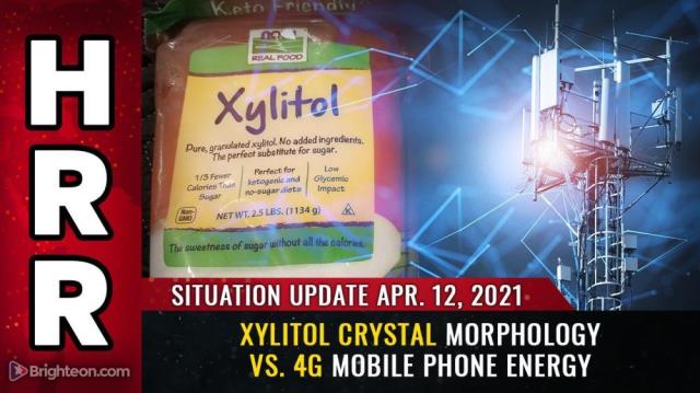 Xylitol crystal morphology vs. 4G mobile phone energy