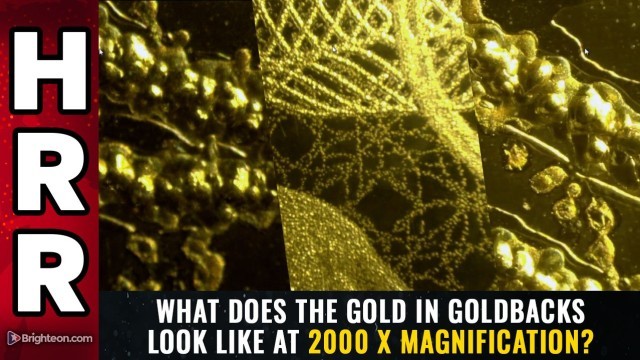 What does the GOLD in Goldbacks look like at 2000 X magnification?