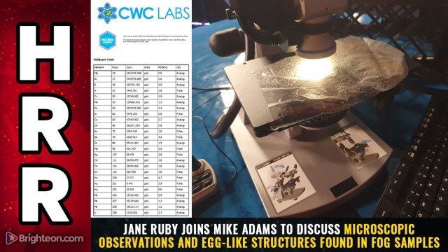 Jane Ruby joins Mike Adams to discuss Microscopic Observations and Egg-Like Structures found in fog samples.