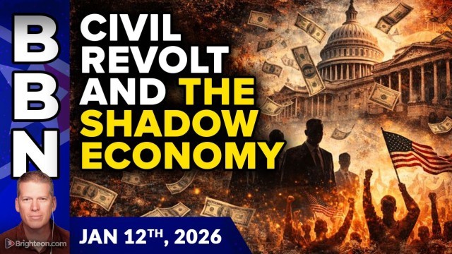 Civil REVOLT and the SHADOW ECONOMY of Grant Money Laundering