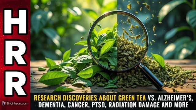 Research discoveries about GREEN TEA vs. Alzheimer’s, Dementia, Cancer, PTSD, radiation damage and more