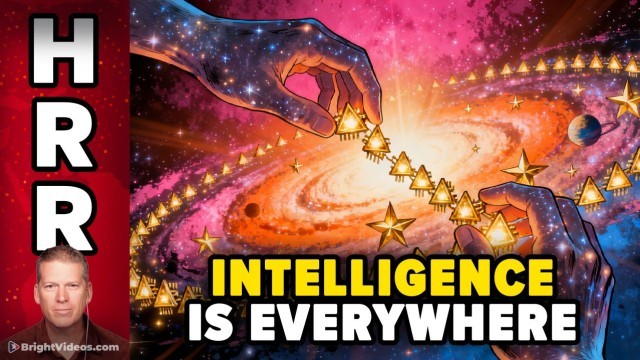 God Math Discovery Reveals Decentralized Intelligence is Everywhere