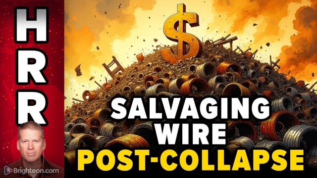 Job Security: Salvaging Wiring and Metals from Commercial Buildings