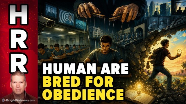 Humans are Bred and Raised for OBEDIENCE, not Intelligence