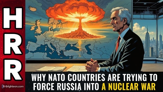 Why NATO countries are trying to FORCE RUSSIA into a nuclear war