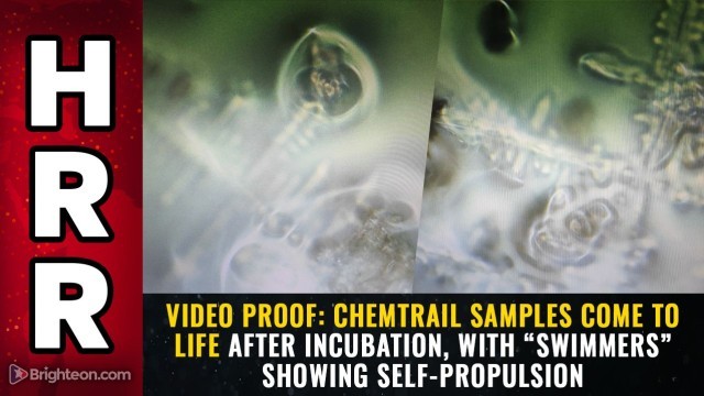 VIDEO PROOF: Chemtrail samples COME TO LIFE after incubation, with “swimmers” showing self-propulsion