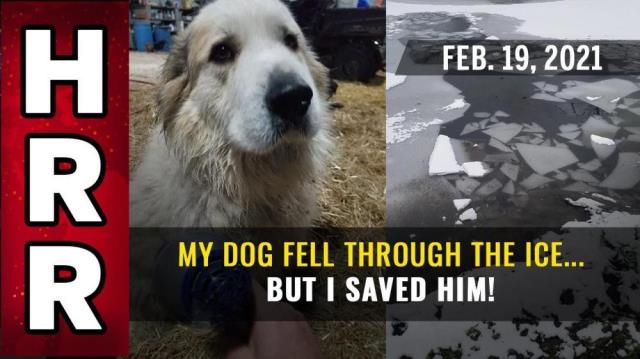 My dog fell through the ICE... but I SAVED him!