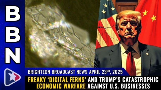 Freaky ‘digital ferns’ and Trump’s catastrophic economic warfare against U.S. businesses