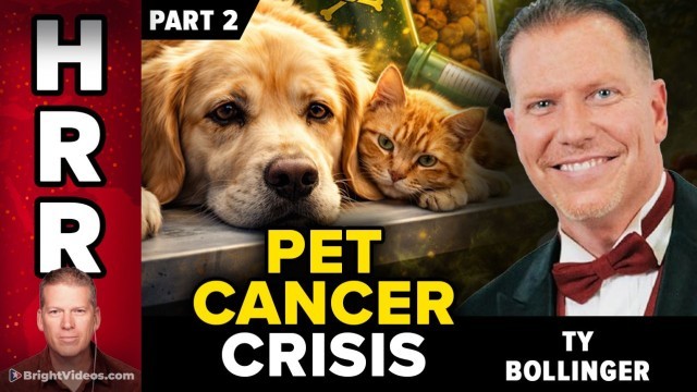 Ty Bollinger Interview: The Hidden Causes of Pet Cancer (Part 2)