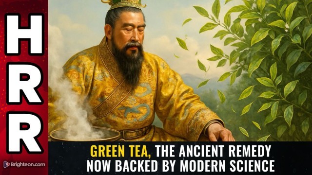 Green Tea, the ancient remedy now backed by modern science